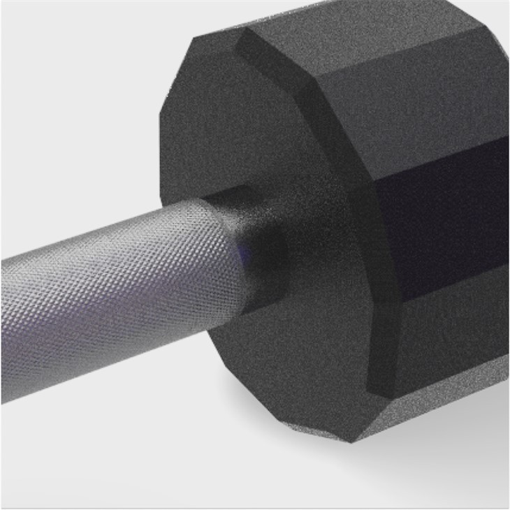12-SIDED RUBBER DUMBBELLS factory