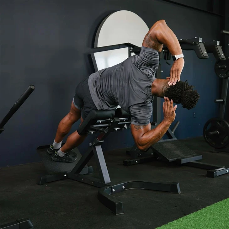 Roman Chair Back Hyperextension suppliers